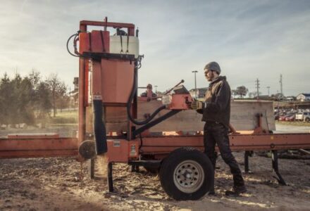 Salvaging Campus Trees for Education Image